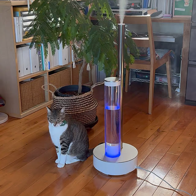 noraさんの実例写真