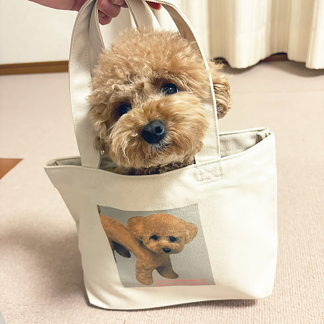 kawauso15さんの部屋