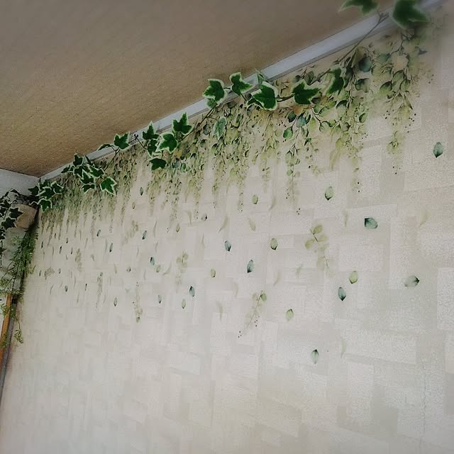 cocoroさんの部屋