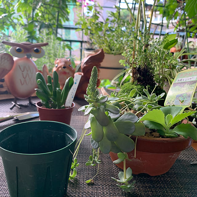 Aqettyさんの部屋