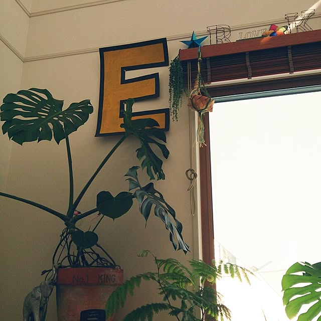 urchinさんの実例写真