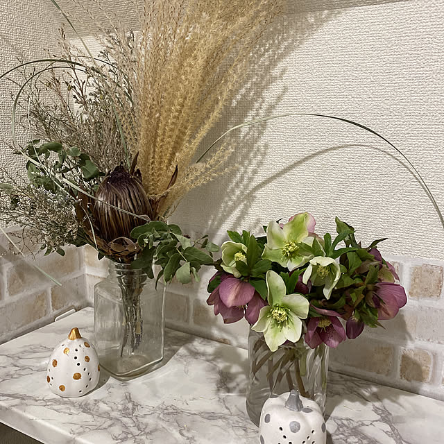 あちこちお花が蕾の山(♥ω♥*)/なんでも花は好き(๑⃙⃘♥‿♥๑⃙⃘)/もう春ですね♡/クリスマスローズが満開に/コメント返しが出来ず申し訳ございません...などのインテリア実例 - 2022-03-02 22:02:43