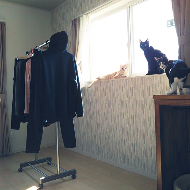 shiiiさんの実例写真