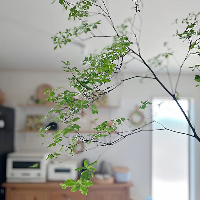 cocoaさんの部屋