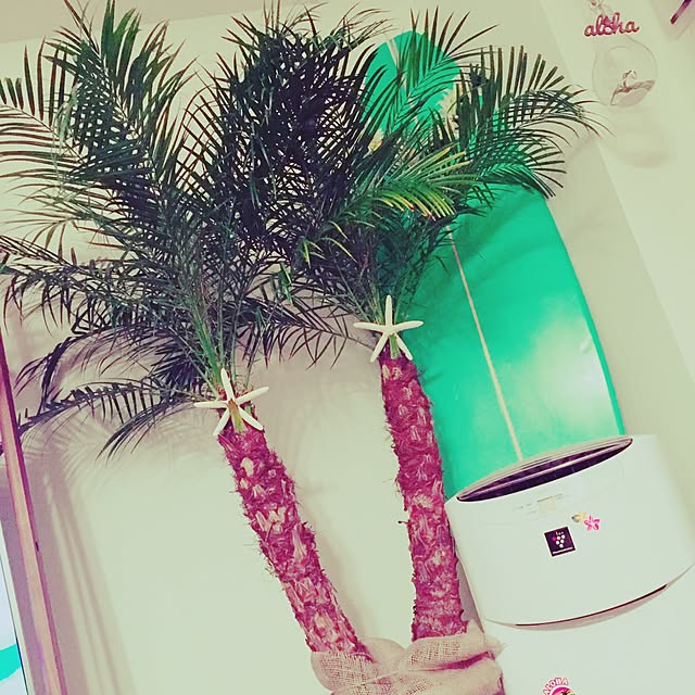 makicoriさんの実例写真