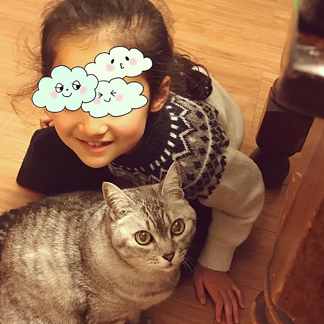 実例写真