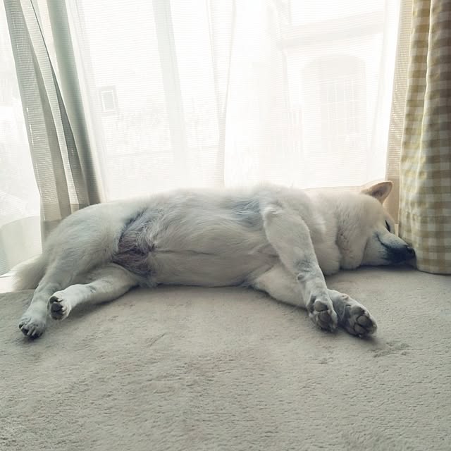 yukinkoさんの部屋