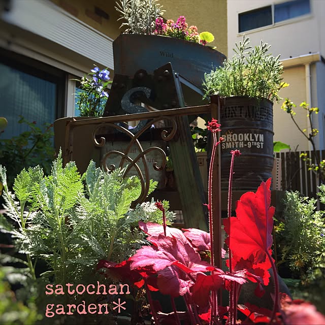 satochanさんの実例写真