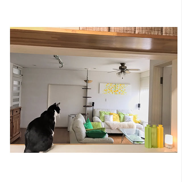 hiyo.pietさんの実例写真