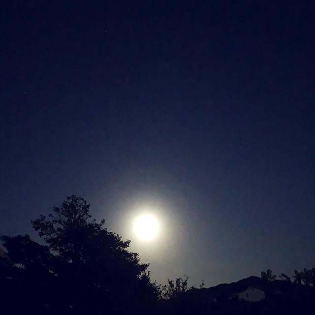 Kaeru-Mamaさんの部屋