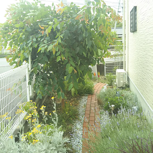 eriponさんの実例写真