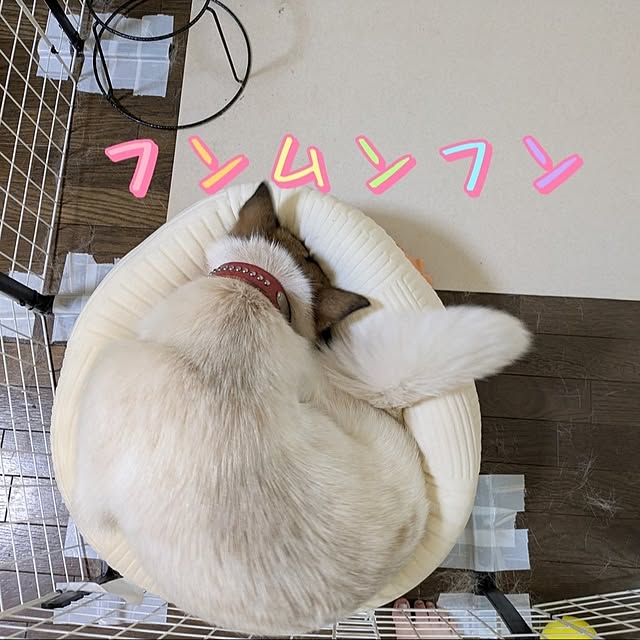 asaさんの部屋