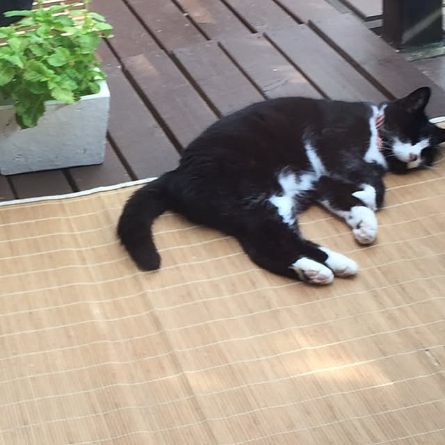 yunaさんの実例写真