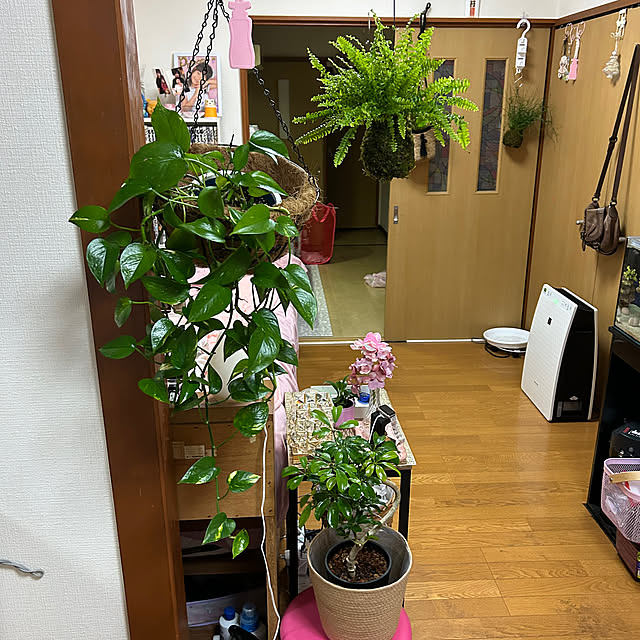Saoriさんの実例写真