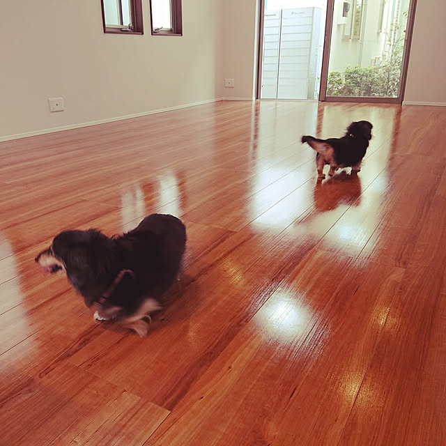 renrinさんの実例写真