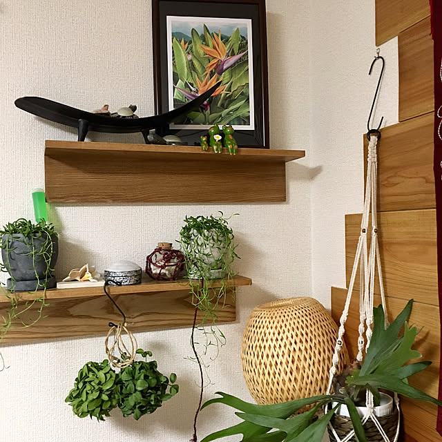 sohanaさんの実例写真