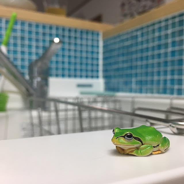 azukiaraiさんの実例写真