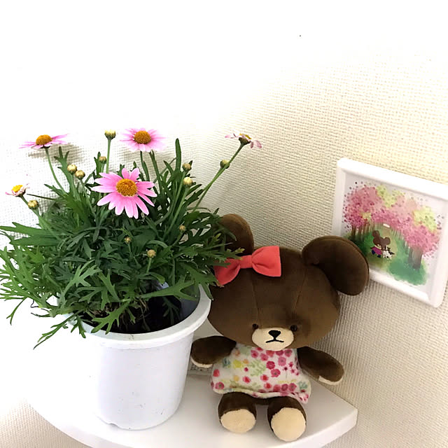 sakuramiffyさんの実例写真
