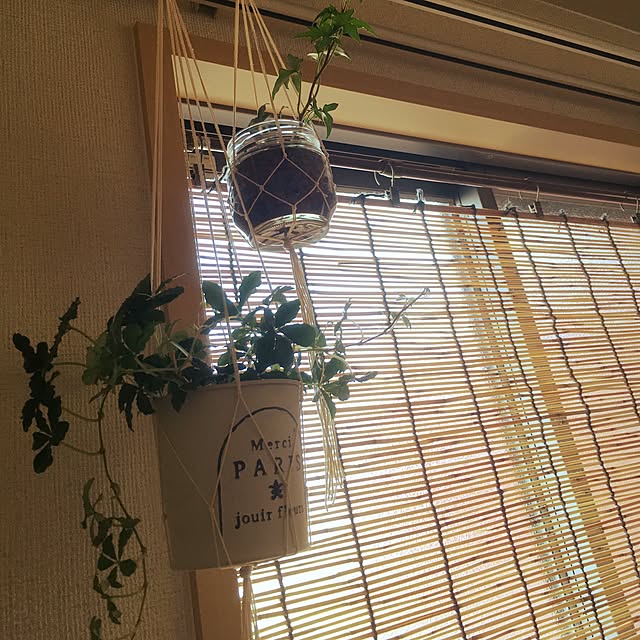 apyoさんの実例写真