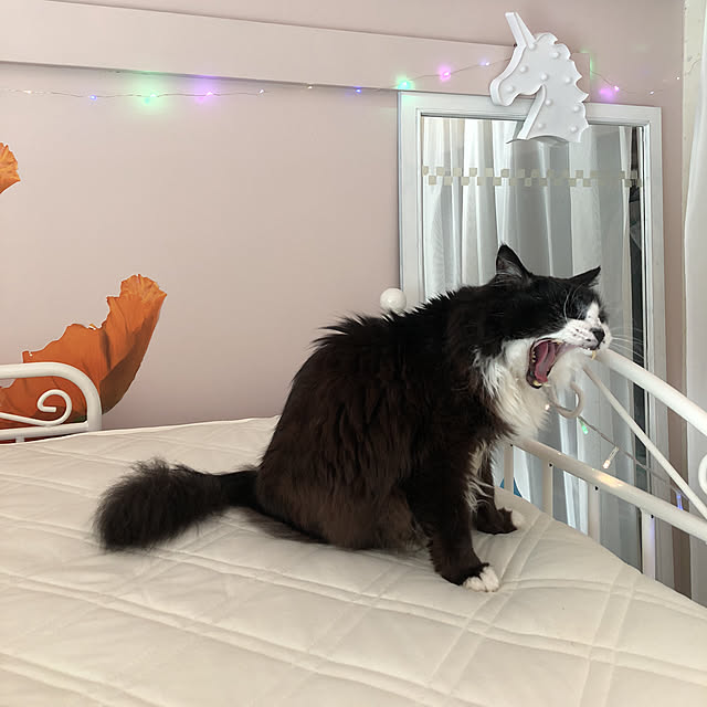 kanaさんの実例写真