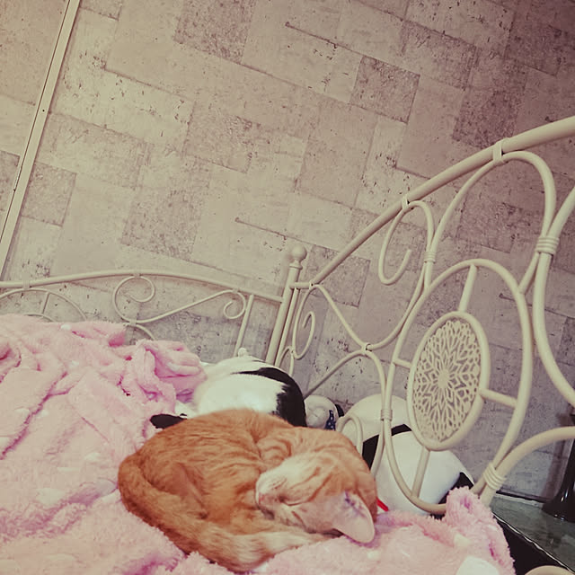 asuminさんの実例写真