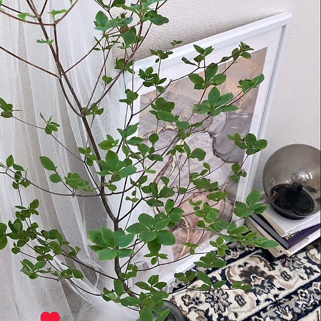 haruさんの実例写真