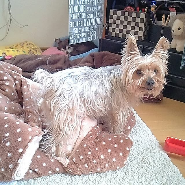 mcomcoさんの実例写真