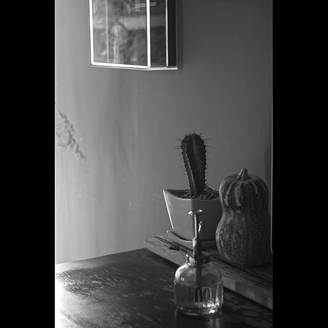 Design papa Ka-tuさんの実例写真