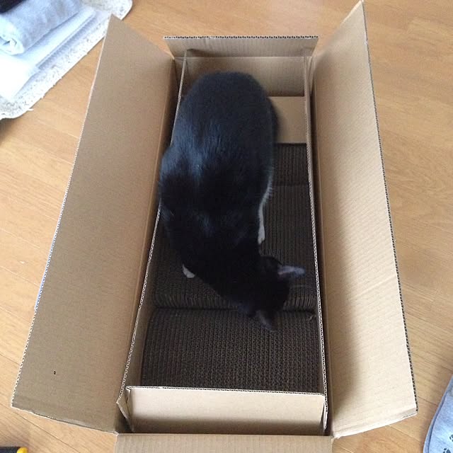 Kinanさんの実例写真