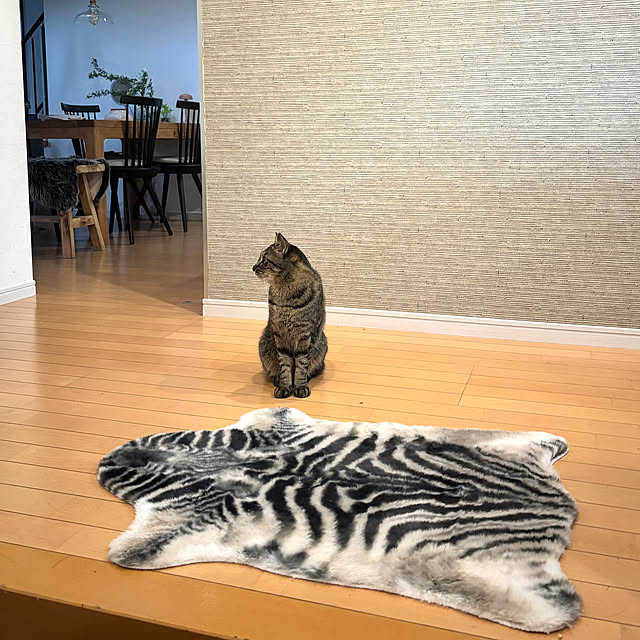 greycatsさんの部屋