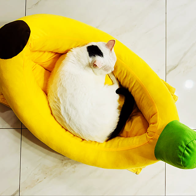 pcu110さんの実例写真