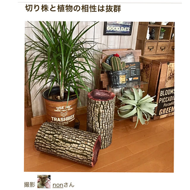 nonさんの実例写真
