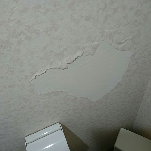 poyoさんの実例写真