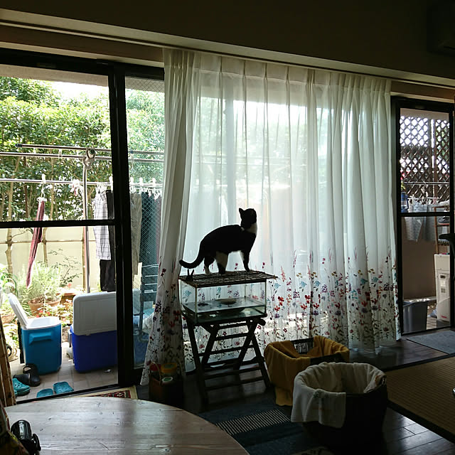 okyosan101さんの実例写真