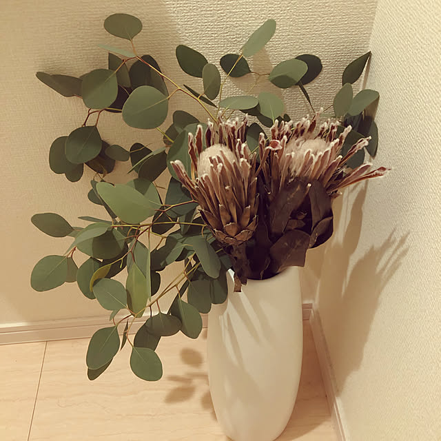 susuさんの実例写真