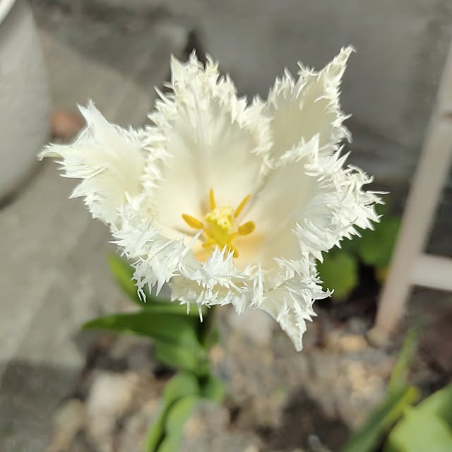 kiraさんの部屋