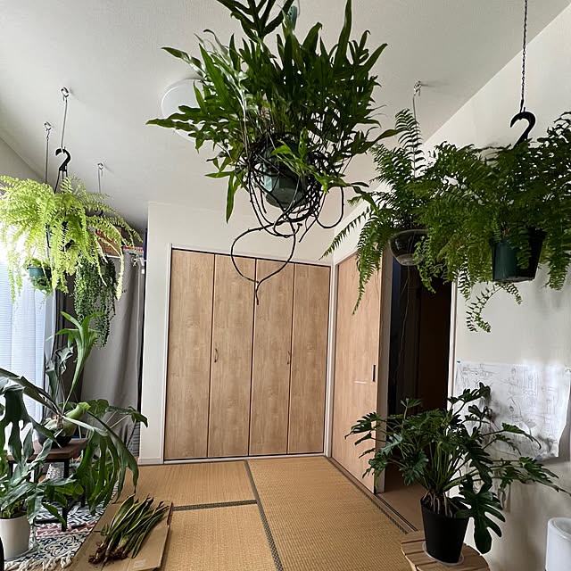 Nao56roomさんの実例写真