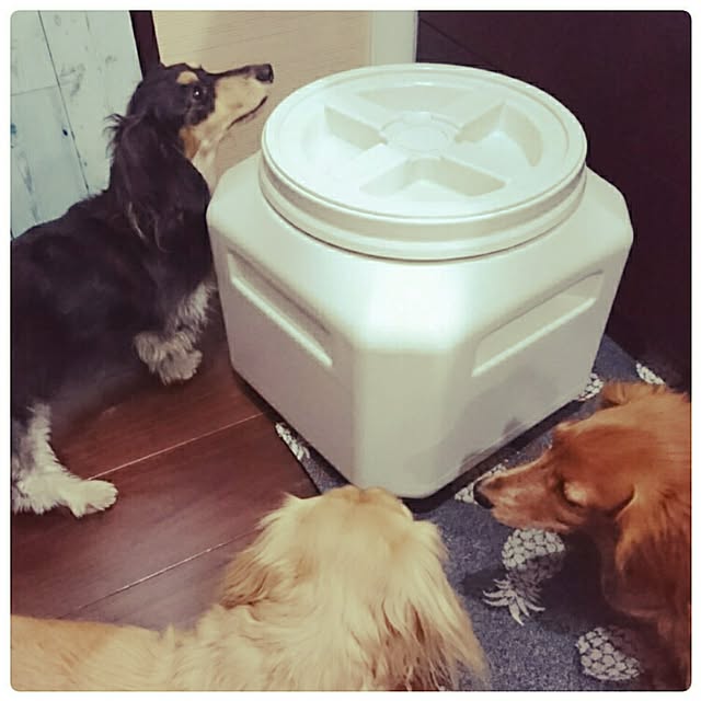 cocosorasakuさんの実例写真