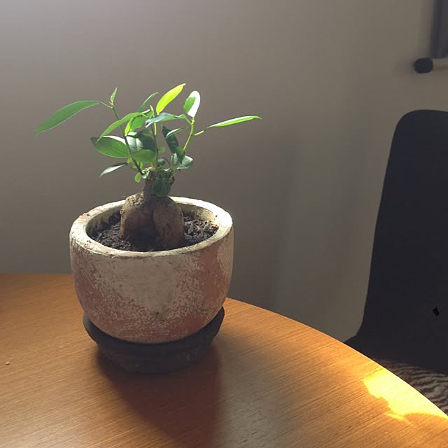 chiekoさんの実例写真