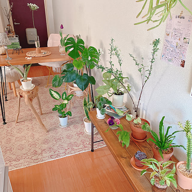 smallroomさんの実例写真
