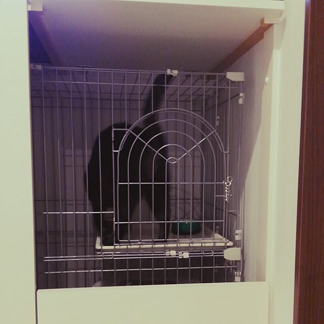 zenoさんの実例写真