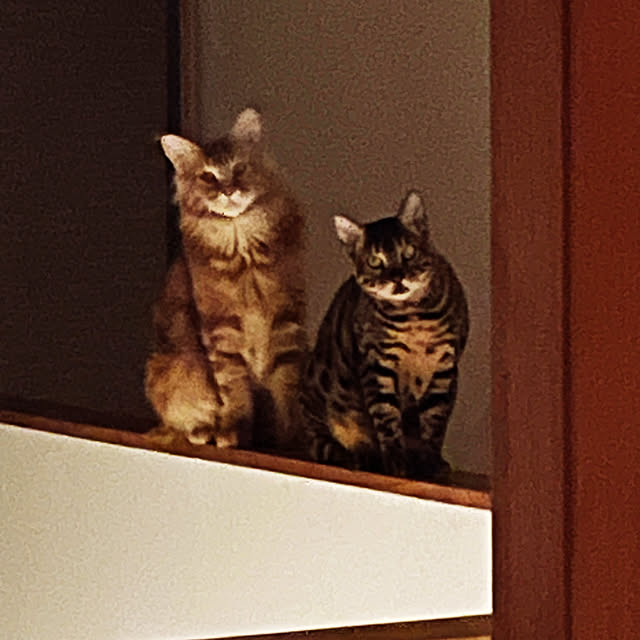 kabu10さんの部屋