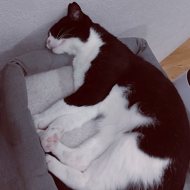 hihaさんの実例写真