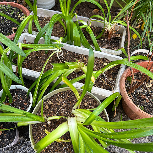 fumikoiさんの部屋