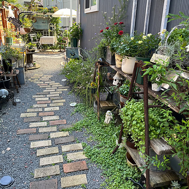 mayumiさんの部屋