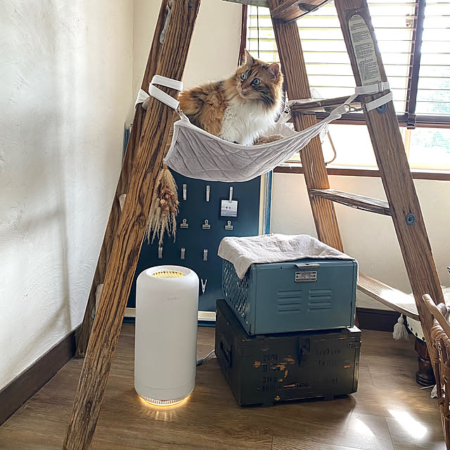 Megumiさんの部屋