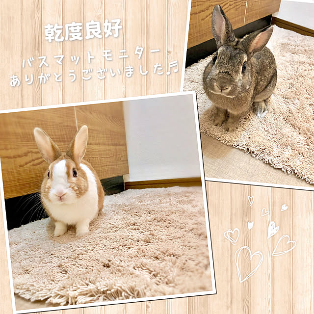 muuさんの実例写真