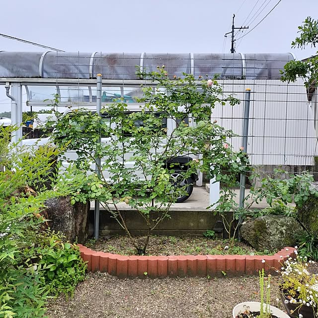 sumimarumiさんの部屋