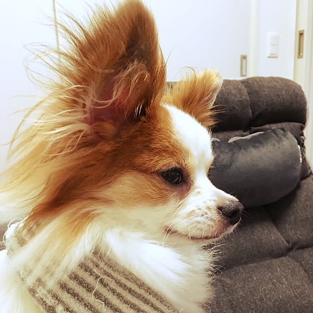 rimurさんの実例写真