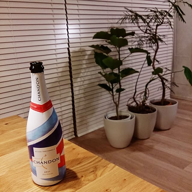 macoさんの実例写真